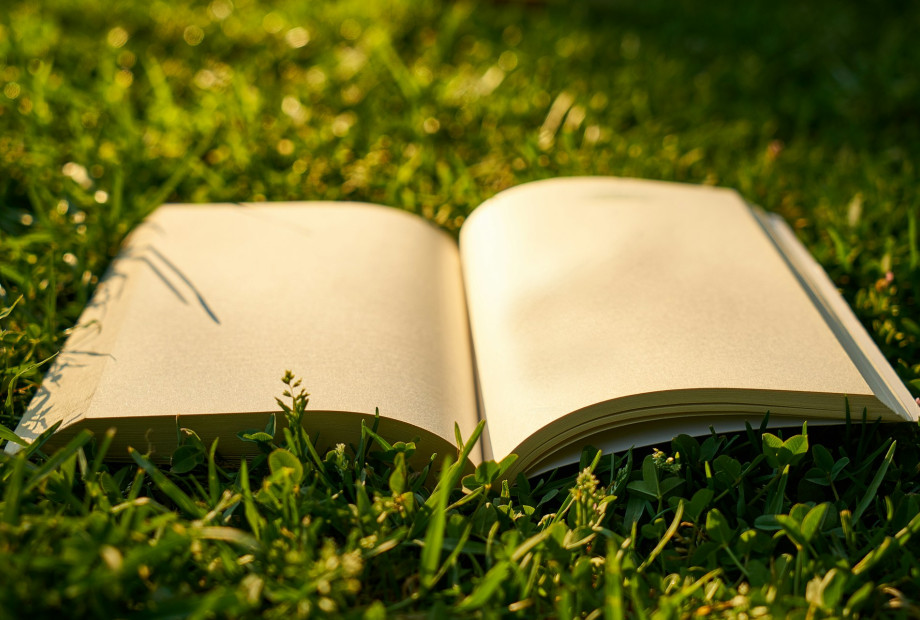 6 Ways to Build Brand Trust with Eco Storytelling.jpg