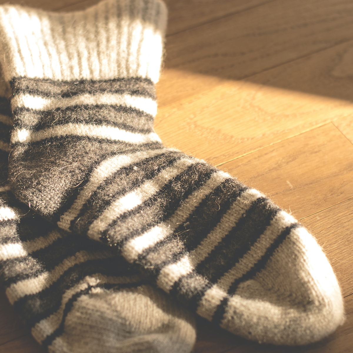 Socks
